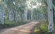 Self Drive Geology And Nature Trails - thumb 1
