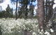Self Drive Geology And Nature Trails - thumb 4