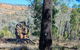 Eualdrie Walking Track - thumb 0