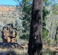 Eualdrie walking track - Broome Tourism