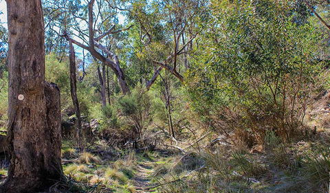 Eualdrie Walking Track - Broome Tourism 1