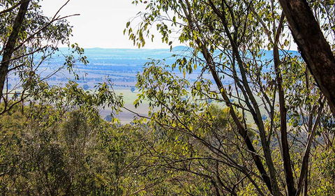 Eualdrie Walking Track - Broome Tourism 2