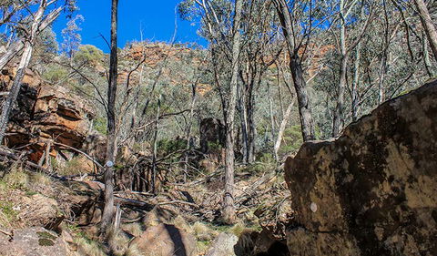 Eualdrie Walking Track - Broome Tourism 3