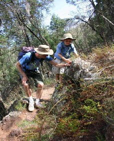Neurea NSW Broome Tourism