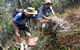 Mount Arthur Reserve - thumb 0