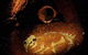 Wellington Caves And Phosphate Mine - thumb 2