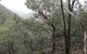 Mount Murga Walking Track - thumb 0