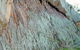 The Rock Nature Reserve - Kengal Aboriginal Place - thumb 0