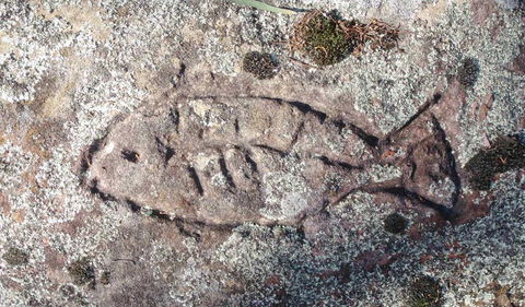 Terry Hie Hie Aboriginal Area - Broome Tourism 3