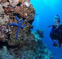 Lighthouse Bommie Dive Site - Broome Tourism
