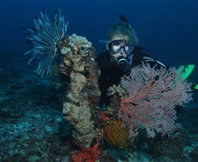 Two Towers Dive Site - Broome Tourism 3