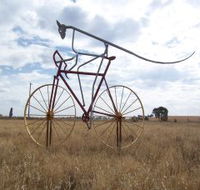 Animals on Bikes - Broome Tourism