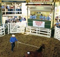 Gracemere Exhibition Complex - Broome Tourism