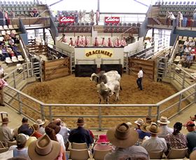 Gracemere Exhibition Complex - Broome Tourism 1