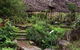 Burrendong Botanic Garden And Arboretum - thumb 0