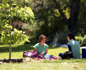 Botanic Gardens Wagga Wagga - Broome Tourism 0
