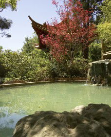 Botanic Gardens Wagga Wagga - Broome Tourism 2