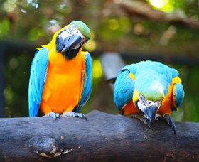 The Rockhampton Zoo - Broome Tourism 2
