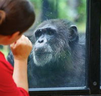 The Rockhampton Zoo - Broome Tourism