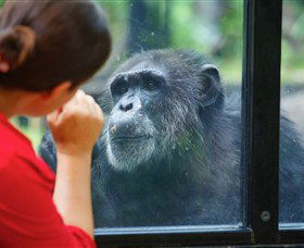 The Rockhampton Zoo - Broome Tourism 0