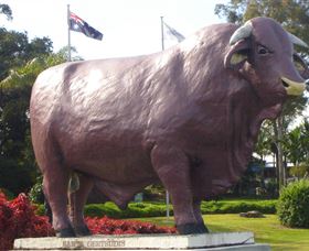 Rockhampton Bull Statues - Broome Tourism 0