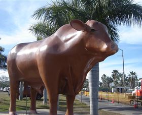 Rockhampton Bull Statues - Broome Tourism 3
