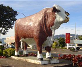 Rockhampton Bull Statues - Broome Tourism 2