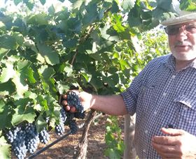 Rosnay Organic Farm And Vineyard - Broome Tourism 6