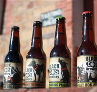 Black Dog Brewery - Broome Tourism