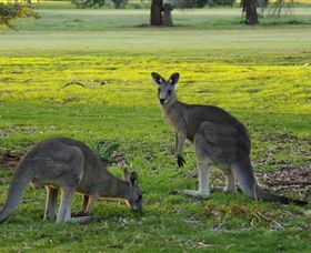 Benalla Golf Club - Broome Tourism 1
