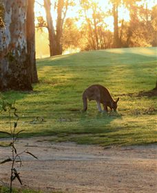 Benalla Golf Club - Broome Tourism 4