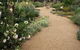 Perennialle Plants Nursery And Garden - thumb 0