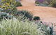 Perennialle Plants Nursery And Garden - thumb 1