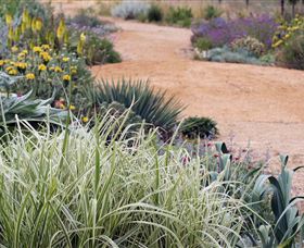 Perennialle Plants Nursery And Garden - Broome Tourism 1