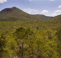 Kutini-Payamu Iron Range National Park CYPAL - Broome Tourism