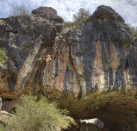 Borenore Karst Conservation Reserve - Broome Tourism