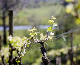 Lethbridge Wines - Broome Tourism 0