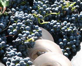 Orange Mountain Wines - Broome Tourism 2