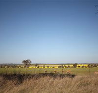 Cootamundra Bird Walk - Broome Tourism