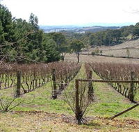Habitat Vineyard - Broome Tourism