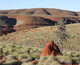 Camel Trail, Millstream-Chichester National Park - Broome Tourism 0