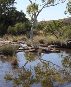 Camel Trail, Millstream-Chichester National Park - Broome Tourism 3
