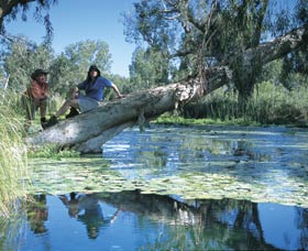 Millstream Chichester National Park - Broome Tourism 1