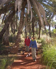 Millstream Chichester National Park - Broome Tourism 2