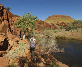 Millstream Chichester National Park - Broome Tourism 3