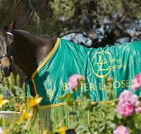 Living Legends The International Home of Rest for Champion Horses - Broome Tourism