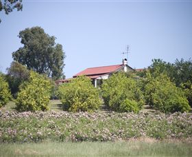 Samaria Farm - Broome Tourism 0