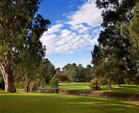 Commercial Golf Course - Broome Tourism 0