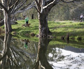 Albury - Murray River Precinct - Broome Tourism 3