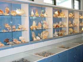Shell World Yeppoon - Broome Tourism 1